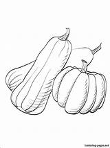 Squash Drawing Coloring Pages Zucchini Getdrawings sketch template