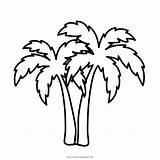 Palmera Tree Ultracoloringpages sketch template