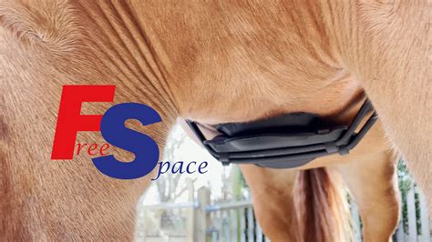 Free Space Girth Wow Saddles