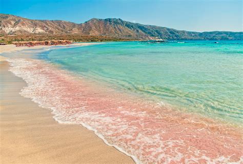 beautiful pink sand beaches   world