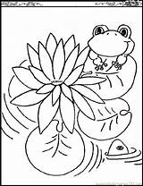 Coloring Lily Pages Frogs Printable Monet Kids Water Color Flowers Pad Claude Print Lilies Outline Children Pads Flower Clipart Drawing sketch template