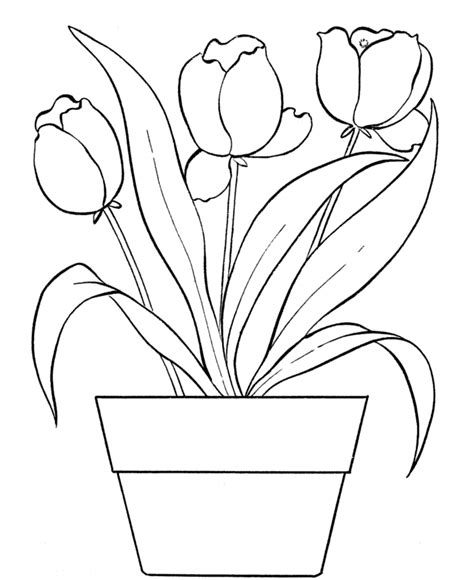 coloring pages seasons coloring pages printable flower coloring