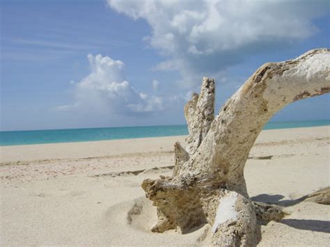 barbuda    barbuda tourism tripadvisor