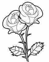 Bunga Mewarnai Untuk Marimewarnai Mawar Besar sketch template