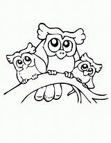 Owls Colornimbus sketch template