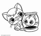 Pet Littlest Coloring Shop Pages Shops Printable Color Cartoon Print sketch template