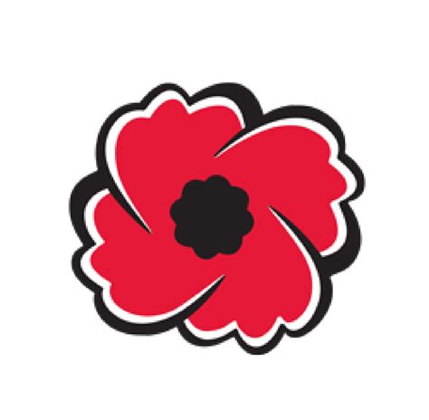 image result for poppy flower remembrance day poppy remembrance day