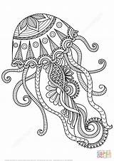 Jellyfish Coloring Pages Adults Zentangle sketch template