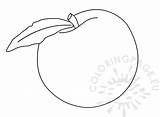 Peach Fruit Coloring sketch template