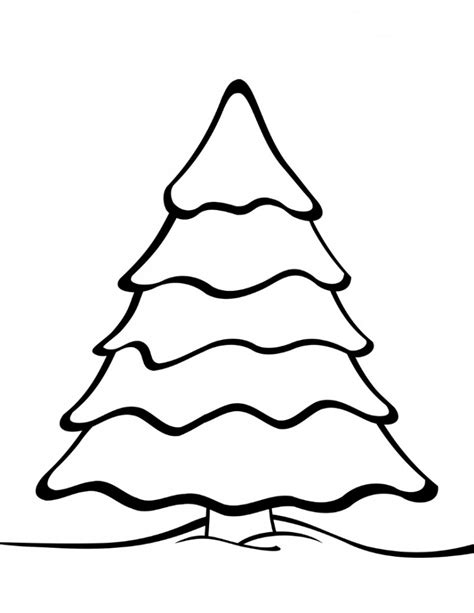 white pine tree drawing    clipartmag