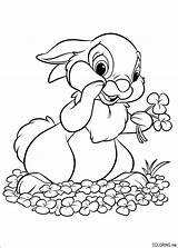 Coloring Pages Bunnies Disney Kids Easter Thumper Flowers sketch template