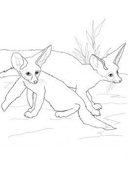 fennec fox babies coloring page super coloring fox coloring page