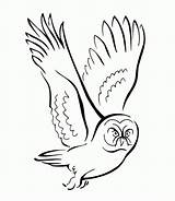 Coloring Owl Pages Flying Printable Colouring Kids Color Realistic Birds Bird Coloringhome Popular sketch template