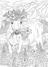 Favoreads Sheets Moeilijke Paarden Coloriage Vache sketch template