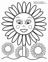 Sunflower Coloring sketch template