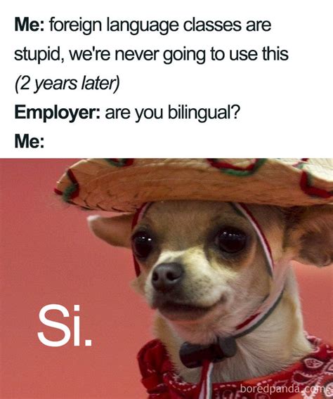 funny spanish language memes spanish classroom spanish teacher