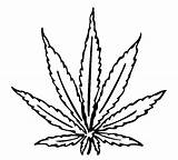 Leaf Weed Marijuana Drawing Pot Coloring Pages Clipart Outline Plant Clip Sketch Stencil Hemp Printable Designs Clipartmag Getcolorings Color Print sketch template