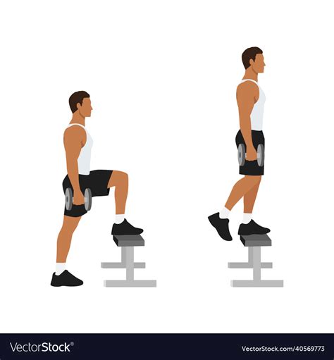man  dumbbell step ups exercise flat vector image