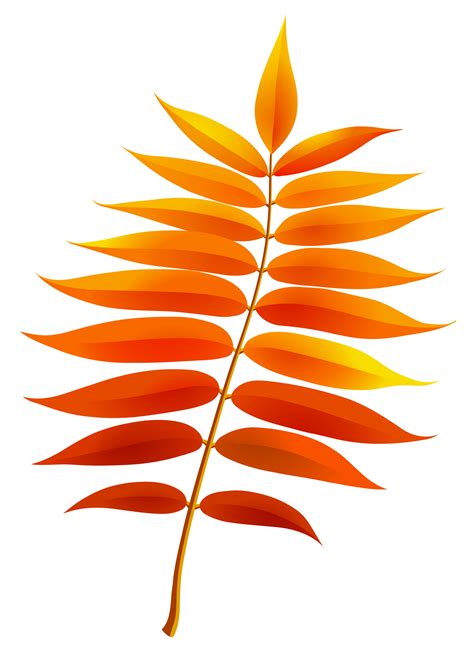 leaf  leaves clipart  clipart graphics images
