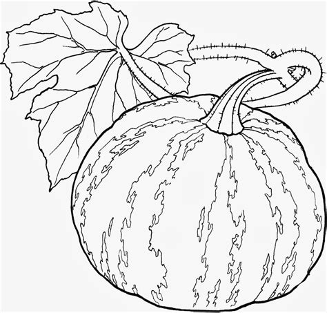 vegetables coloring pages kidsuki