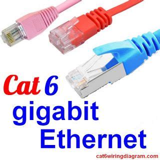 cat  gigabit ethernet  network connection cat cat wiring diagram ethernet wiring