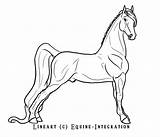 Saddlebred Lineart Gaited sketch template