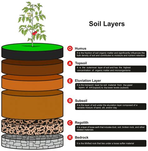 soil formation   soil     soils form