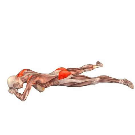 browser  supported pozy yogi anatomiya yogi boevye iskusstva