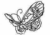 Butterfly Coloring Pages Butterflies Print Books sketch template