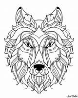 Wolf Head Coloring Simple Wolves Patterns Pages Big Adult sketch template