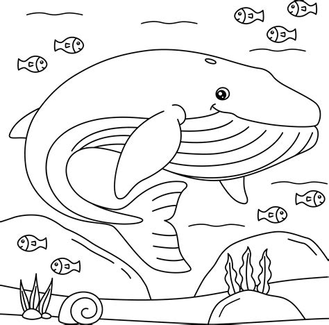 blue whale coloring page  kids  vector art  vecteezy