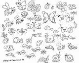 Wimmelbilder Wimmelbild Insekten Falsch Weichtiere sketch template