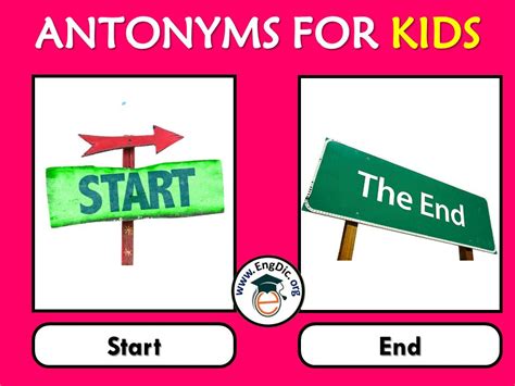 antonyms  kids  pictures  words engdic