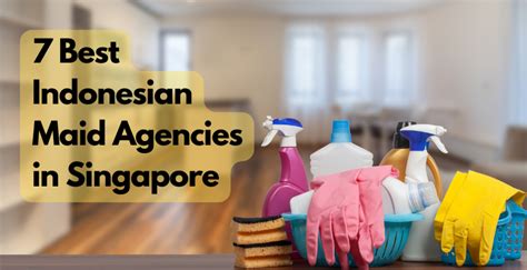 7 Best Indonesian Maid Agencies In Singapore The Singaporean