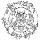 Coloring Pages Basford Johanna Mandala Owl Adult Forest Printable Animal Choose Board Adults Enchanted Color sketch template