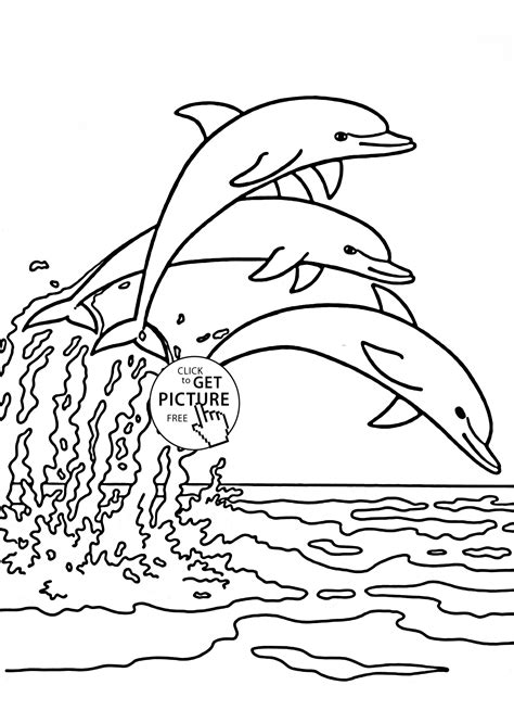 dolphins jump  splash animal coloring page  kids sea animal