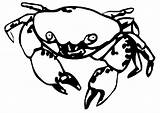 Krab Krebs Kepiting Ausmalbilder Colorir Mewarnai Kleurplaten Caranguejo Crabe Imprimir Krabbe Krebse Malvorlage Caranguejos Ausmalbild Crabs Kleurplaat Coloriages Krabben Kolorowanki sketch template