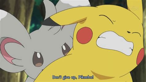 minccino tickling pokemon anime scene [eng sub] youtube