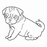 Pug Outline Dog Coloring Pages Drawing Drawings Baby Face Dogs Pugs Color Template Cute Clipart Line Print Cliparts Sheets Printable sketch template