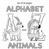 Alphabet Bigbearandbird sketch template