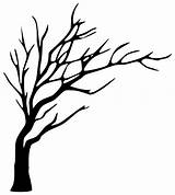 Tree Silhouette Acacia Clip Getdrawings sketch template