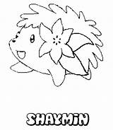 Shaymin Coloring Pokemon Pages Sermon Mount Getcolorings Printable Getdrawings Colorings sketch template