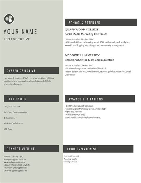 examples  digital marketing resume  freshers