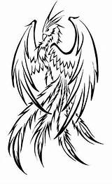 Phoenix Tattoo Drawing Outline Tattoos Simple Dessin Tribal Drawings Bird Draw Fenix Coloring Designs Color Pheonix Photobucket Pages Pour Tatoo sketch template
