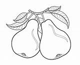 Colorir Peras Pera Pear Pears Owoce Kolorowanki Gruszka Mewarnai Arvore Desenhos Fruits Kolorowanka Buah Pere Frutas Verduras Colorat Coloringhome Riscos sketch template