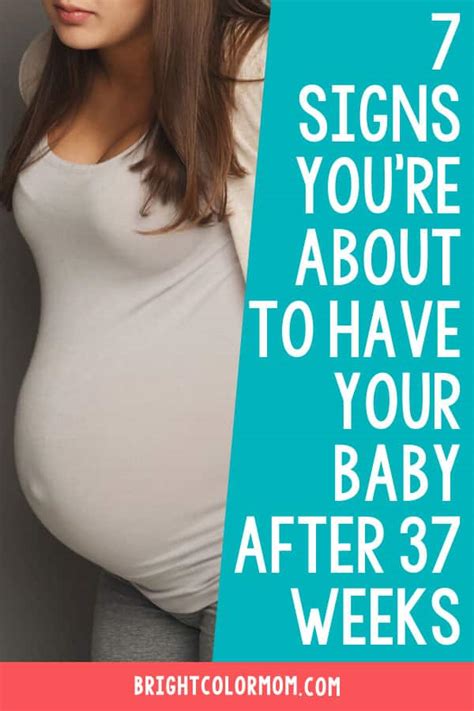 pregnancy weeks   symptoms fetus growth stages