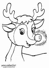 Reindeer Rudolph Printable Nosed Kerst sketch template