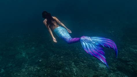 incredible compilation  authentic mermaid    real