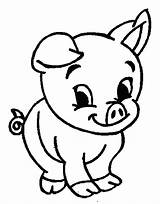 Pig Cute Coloring Pages Drawing Guinea Christmas Baby Pigs Printable Kids Cartoon Animal Peppa Animals Pikachu Easy Adorable Minecraft Clipart sketch template