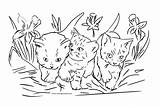 Colorat Planse Pisici Desene Poze Animale Desenat Fise Pictat Desenate Flori Dragute Ponei Cristinapicteaza Cele sketch template